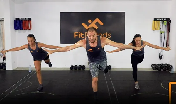 Programa FF por niveles 16 fitfriends contacto