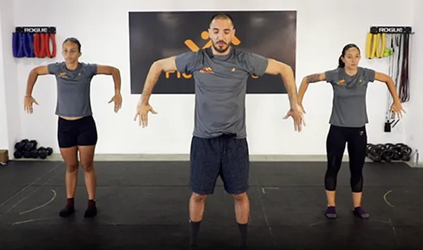 Programa FF por niveles 18 fitfriends contacto