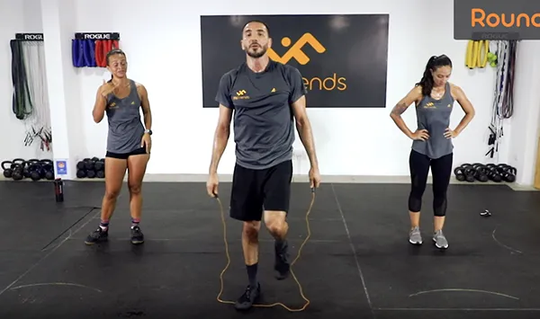 Programa FF por niveles 4 fitfriends contacto