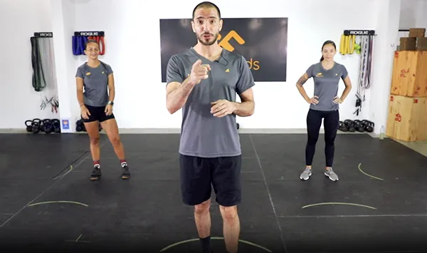Programa FF por niveles 5 fitfriends contacto