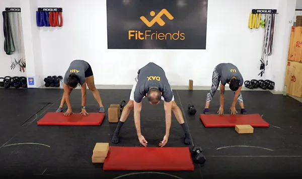 Programa FF por niveles 19 fitfriends contacto