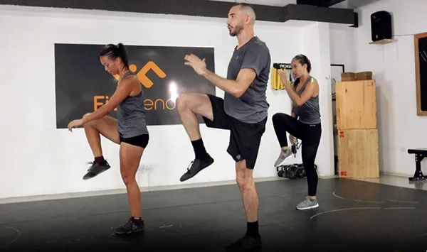 Programa FF por niveles 15 fitfriends contacto